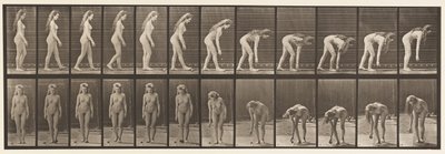 Plaka 204. Topu Almak İçin Durmak by Eadweard Muybridge