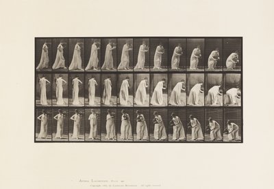 Levha 205. Vazoda Taşıma ve Eğilme, 1885 by Eadweard Muybridge