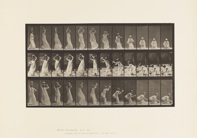 Levha 206. Su Kavanozunun Başta Taşınması, Döndürülmesi ve Yerleştirilmesi by Eadweard Muybridge