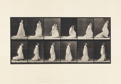 Plaka 207. Durdurma ve Kaldırma Treni, 1885 by Eadweard Muybridge