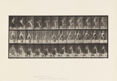 Levha 217. Durma, Kaldırma ve Taşıma 30 lb Sepet, 1885 by Eadweard Muybridge