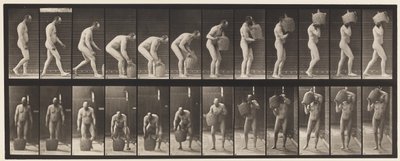 Plaka 218.Durulama ve Dolu Damacanayı Omuza Kaldırma by Eadweard Muybridge