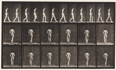 Plaka 21. Yürüme, Her İki Dirsek Bükülmüş by Eadweard Muybridge