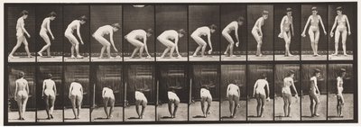 Levha 220. Mendil Kaldırma ve Eğilme ve Döndürme by Eadweard Muybridge