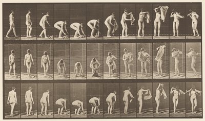 Levha 227. Yerden Kaldırma Bezi, 1872-1885 by Eadweard Muybridge