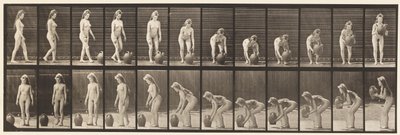 Plaka 228. Su Kavanozunu Yerden Çevirme ve Kaldırma by Eadweard Muybridge