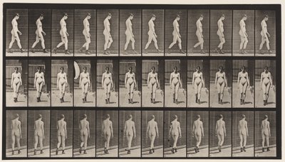 Plaka 22. Yürüyüş, Yüksek Topuklu Çizmelerle Yürüyüş, 1872-1885 by Eadweard Muybridge