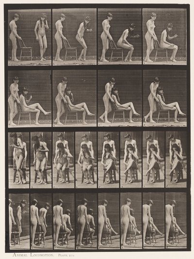 Plaka 239. Biri Ayakta, Diğeri Oturan, Çapraz Ayaklı İki Model by Eadweard Muybridge