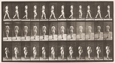 Plaka 23. Yürüyüş, Sağ El Çenede, Yüksek Topuklu Ayakkabı Üstte by Eadweard Muybridge