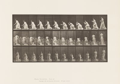 Levha 253. Sandalyede Diz Çöken Dirsekler, Eller Sıkıştırılmış, 1885 by Eadweard Muybridge