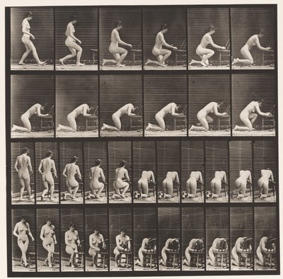 Levha 254. Diz Çökme, Dirsekler Sandalyede, Eller Kıvrılmış by Eadweard Muybridge