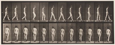 Plaka 25. Yüksek Topuklu Ayakkabılarla Yürüyüş by Eadweard Muybridge