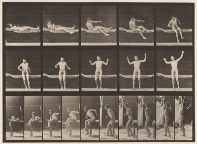 Levha 260. Kanepeden Çıkan ve Esneyen Kollar, 1885 by Eadweard Muybridge