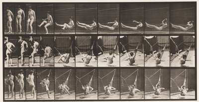 Plaka 261. Hamak İçine Girmek, 1872-1885 by Eadweard Muybridge