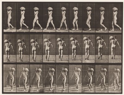 Levha 26. Yürüyüş, Sol Omuzda 75 librelik Taş Taşıma by Eadweard Muybridge