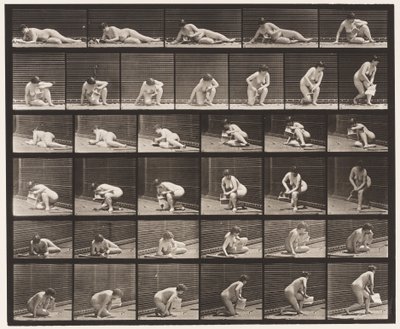 Levha 270. Sol Elinde Broşürle Yerden Yükselen by Eadweard Muybridge