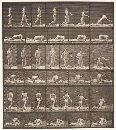 Plaka 272. Tökezleme ve Yere Düşme by Eadweard Muybridge