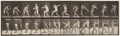 Plaka 284.Beyzbol; Yakalayıp Fırlatma, 1885 by Eadweard Muybridge