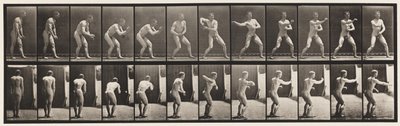 Plaka 285. Beyzbol topu; Yakalamak ve Fırlatmak by Eadweard Muybridge