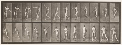 Plaka 290.Kriket; Kol Üstü Bowlingi, 1885 by Eadweard Muybridge