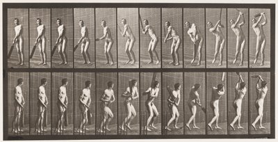 Plaka 291.Kriket; vuruş; Sürücü, 1885 by Eadweard Muybridge