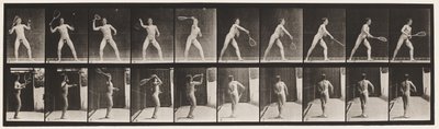 Plaka 294. Çim Tenisi; hizmet by Eadweard Muybridge