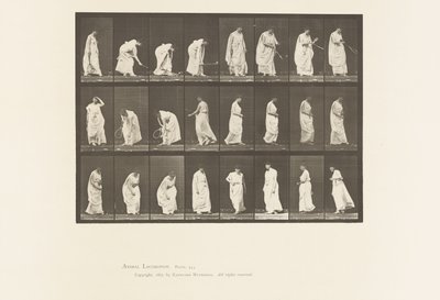Plaka 299. Topla Oynamak by Eadweard Muybridge