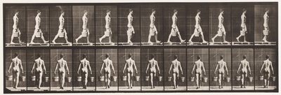 Levha 29. Yürüyüş, Her Elinde Kova Su Taşıma, 1872-1885 by Eadweard Muybridge