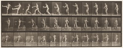 Plaka 301.Futbol; nokta, 1885 by Eadweard Muybridge