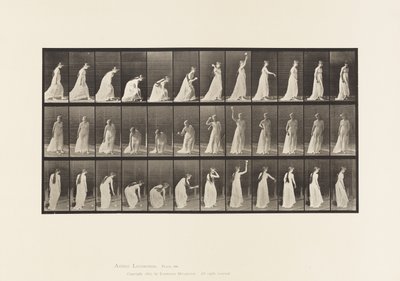 Plaka 306. Topu Alıp Fırlatma, 1885 by Eadweard Muybridge