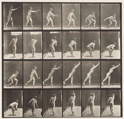 Levha 307. Demir Disk Fırlatma, 1872-1885 by Eadweard Muybridge