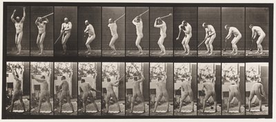 Plaka 308. Çekiç Fırlatma, 1885 by Eadweard Muybridge