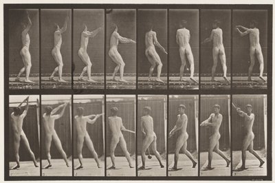 Plaka 309. Çekiç Fırlatma by Eadweard Muybridge