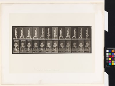 Tabak 30. Yürümek, Her Elinde Kova Su Taşımak by Eadweard Muybridge
