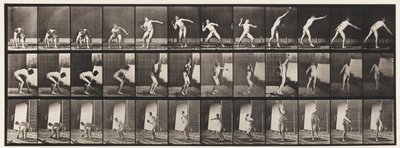 Plaka 310. Atış, 1885 by Eadweard Muybridge