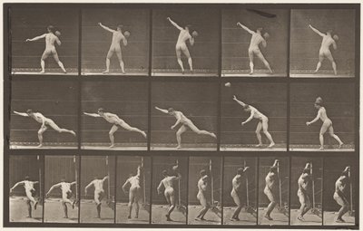 Levha 313. 20 librelik Kayayı Kaldırma, 1885 by Eadweard Muybridge