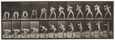 Levha 318. 75-lb Kaya Kaldırma, 1872-1885 by Eadweard Muybridge