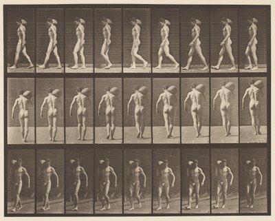 Levha 31. Yürüyüş, Sağ Omuzda 75 librelik Taş Taşıma by Eadweard Muybridge
