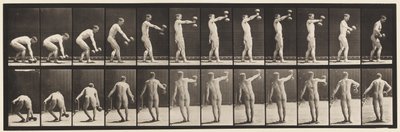 Plaka 326. 50-lb kaldırma. Aptal-Çan Kol Boyu by Eadweard Muybridge