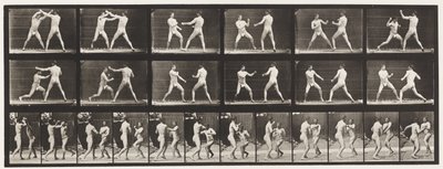Plaka 329. Boks; (Ayakkabı) by Eadweard Muybridge