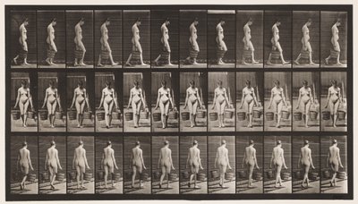 Levha 32. Yürümek, Her Elinde Kova Su Taşımak by Eadweard Muybridge