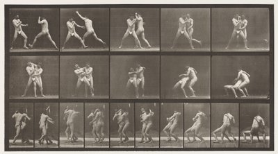 Plaka 331. Boks; Çapraz Kalçalar için Dur by Eadweard Muybridge