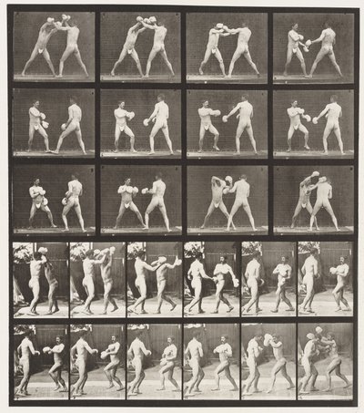 Plaka 334. Boks; Eldivenli (Ayakkabı) by Eadweard Muybridge