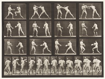 Plaka 335. Boks; Eldivenli by Eadweard Muybridge