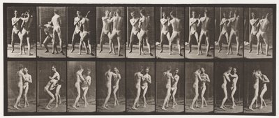 Plaka 337. Boks; Elini aç by Eadweard Muybridge