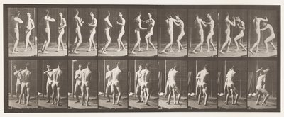 Plaka 339. Boks; Elini aç by Eadweard Muybridge