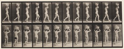 Plaka 33. Yürüyüş, 14-lb. Baştaki Sepet, Eller Kaldırılmış, 1872-1885 by Eadweard Muybridge
