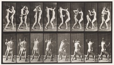 Plaka 341. Boks; Elini aç by Eadweard Muybridge