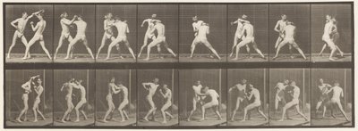 Plaka 342. Boks; Açık El, 1872-1885 by Eadweard Muybridge