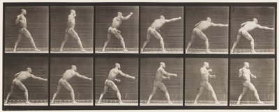 Plaka 344. Vuruş (Sağ El) by Eadweard Muybridge